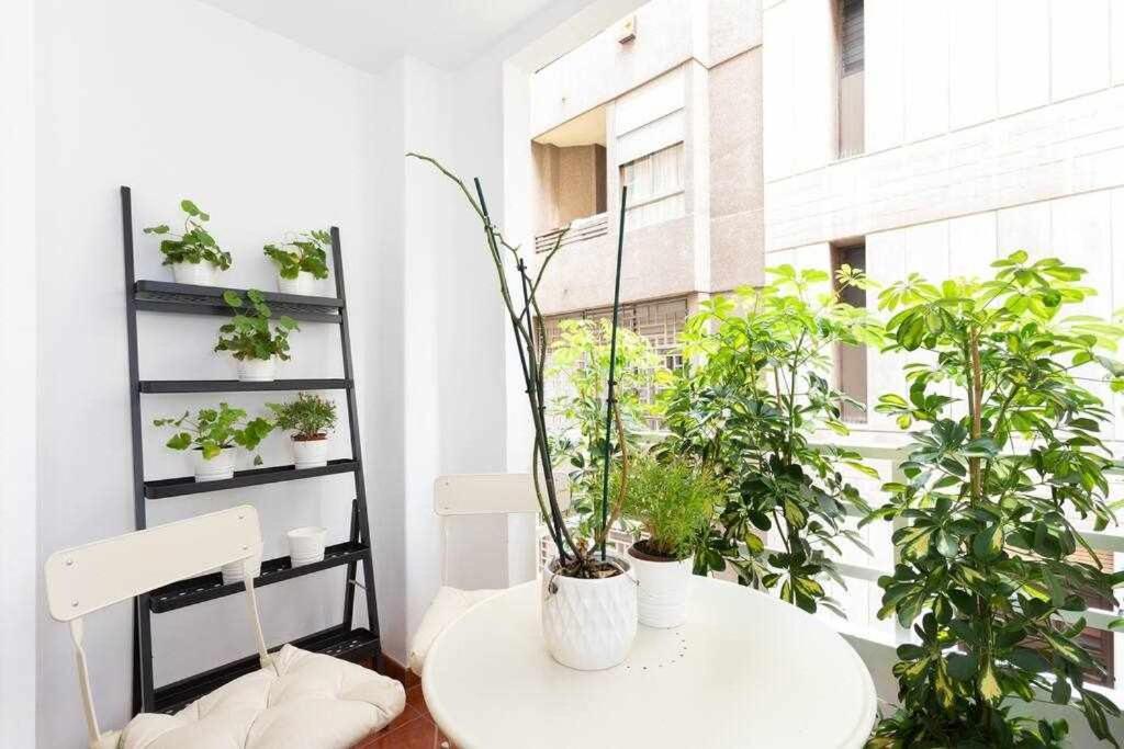Sabino Dreams Santa Cruz Apartment Ngoại thất bức ảnh
