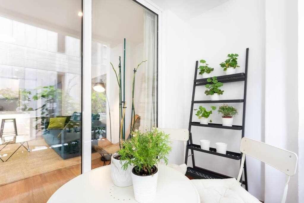 Sabino Dreams Santa Cruz Apartment Ngoại thất bức ảnh